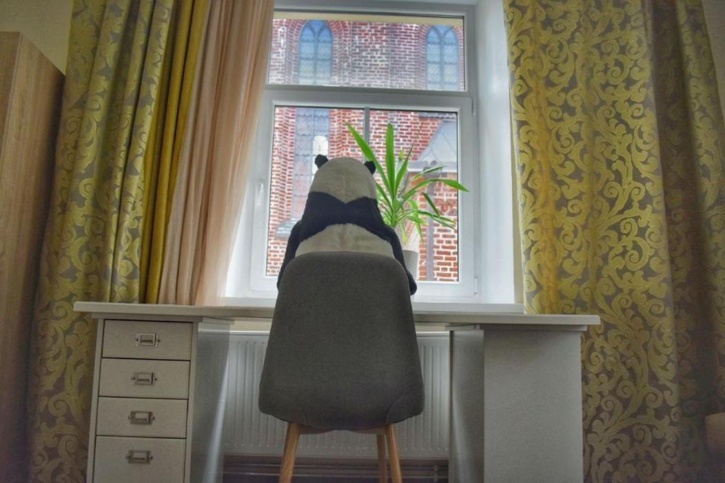 شقة Panda House - Luxury In Old Town تارتو المظهر الخارجي الصورة